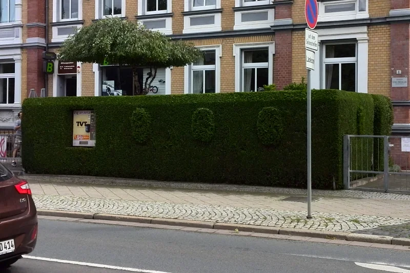Gepflegte Formhecke vor einem Gebäude