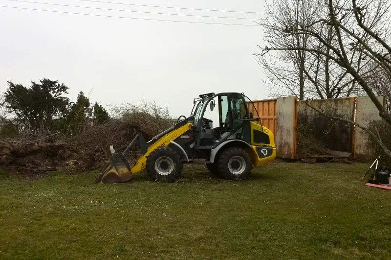 Einblick in die Arbeiten von Gartendienst Erfurt